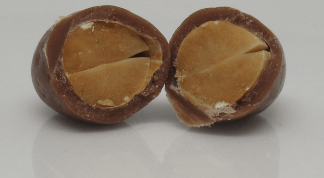 ピーナッツ ミルクチョコレート コーティングの切断面