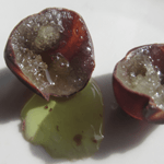 ボンボン「ラ・フランスのなみだ」